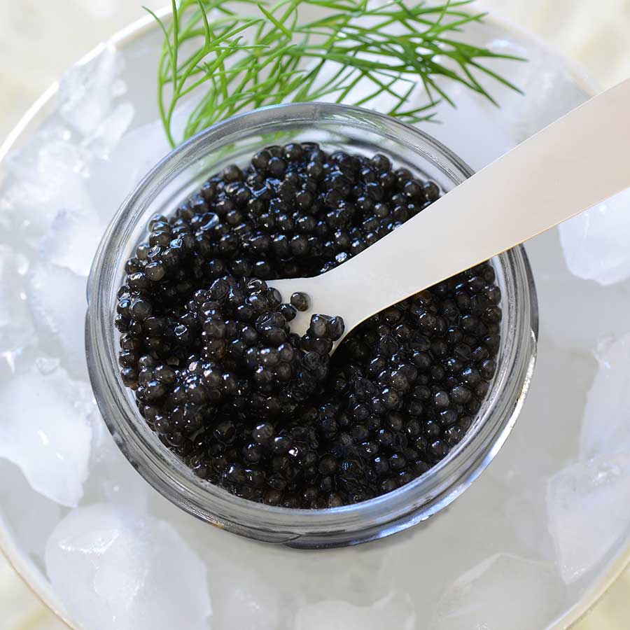 White Sturgeon Caviar: Delicacy from the Depths