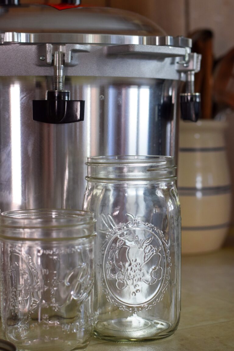 Water Bath Canning vs Pressure Canning: Preserving Methods Compared