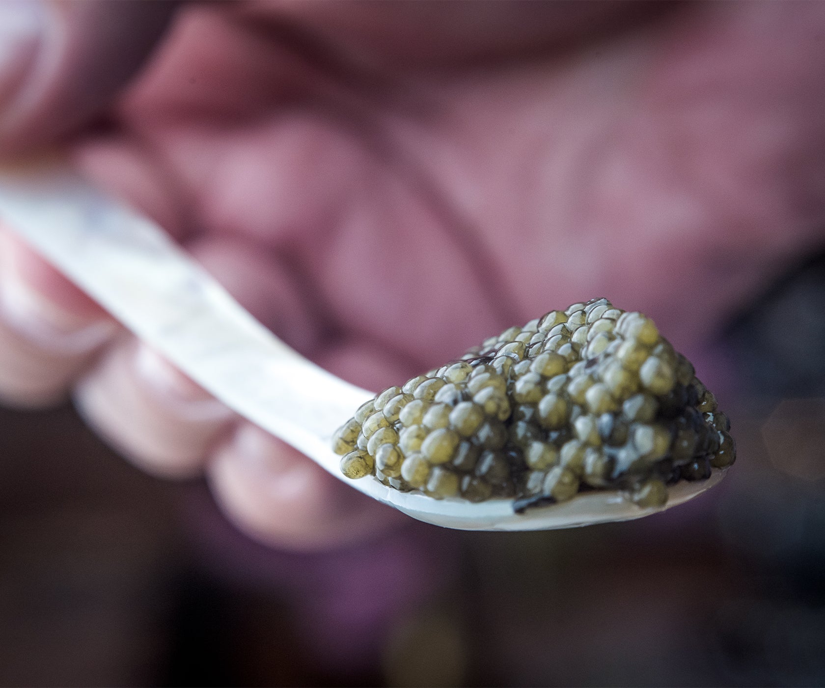 White Sturgeon Caviar: Delicacy from the Depths