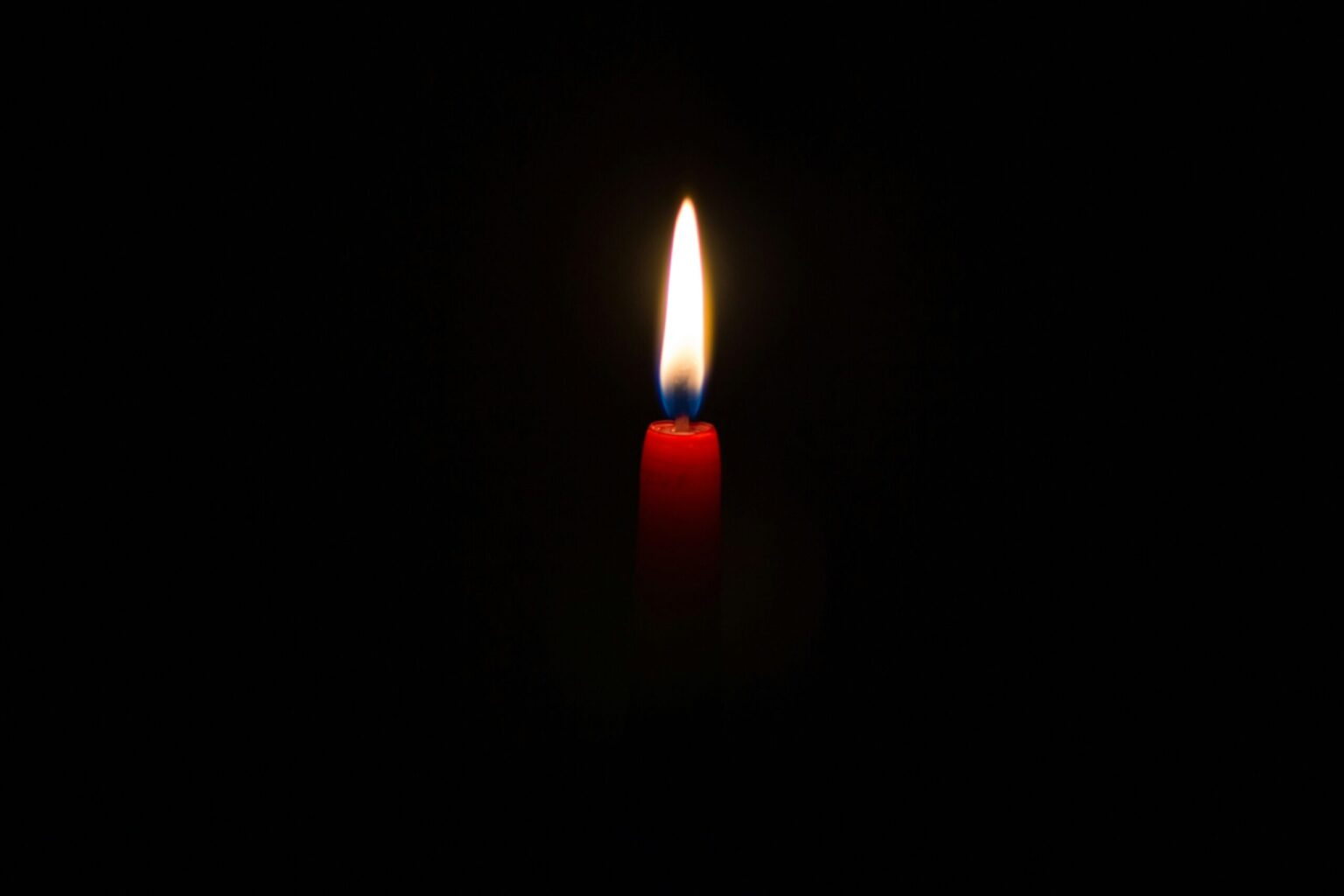 Grace Niemela, Cherished Cokato Resident, Remembered for Her Kindness and Compassion